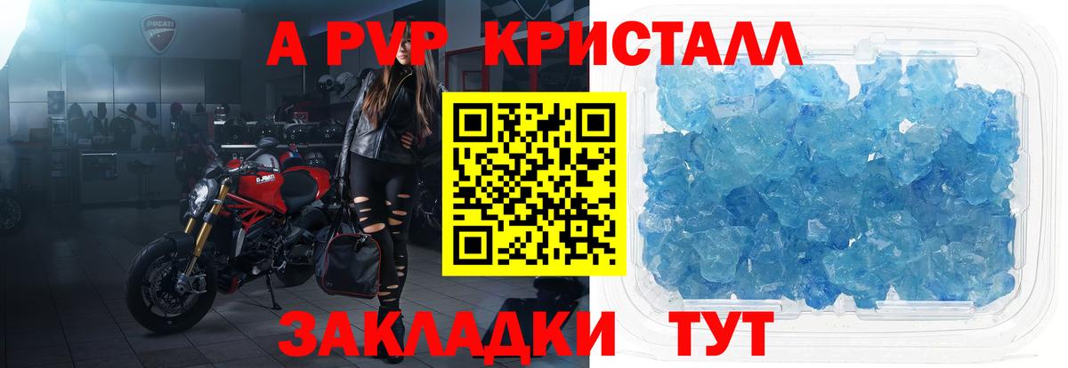 A PVP СК Бердск