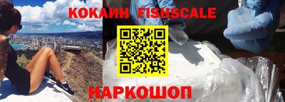индика Рузаевка