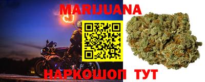 индика Рузаевка