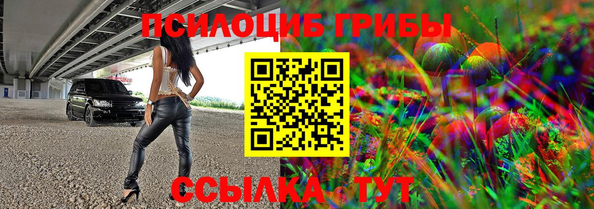 Бердск  где купить   Вход с VPN  Псилоцибиновые грибы MAGIC MUSHROOMS 
